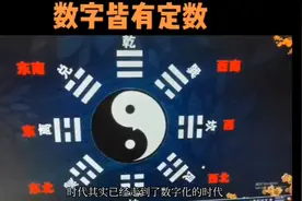 数字皆有定数视频封面