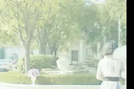 为什么漂亮女孩，最后都会嫁给一头猪视频封面