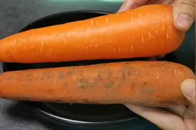 菜农说漏嘴，带泥胡萝卜和不带泥的，原来差别这么大视频封面