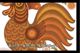 属鸡和属牛配偶最佳视频封面