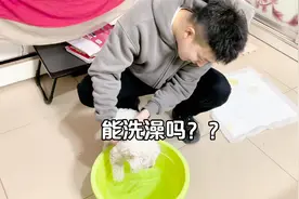 幼犬没打完疫苗能洗澡吗？女友说洗澡有生命危险，这是谣言吧？