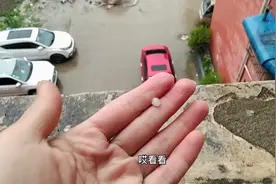 刚刚河南邓州下冰雹雨了，哗啦啦好响吓的不敢开窗户视频封面
