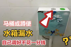 今天才知道，马桶或蹲便水箱漏水，自己徒手调好不用花一分钱视频封面