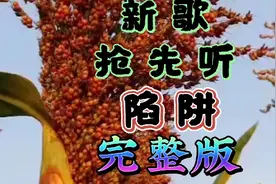 王爱华一首新歌上线抢先听《陷阱》一首歌一个故事视频封面