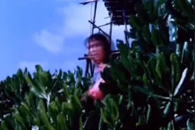 zg领土不容侵犯！视频封面