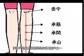 委中穴委阳穴的位置与功效