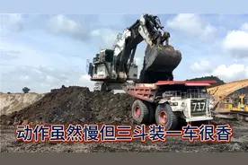 大型挖掘机虽然动作很慢但是三斗装一车就很香😂