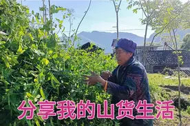 湖北恩施土家族小伙，独自一人在山里收山货，每天过的充实又快乐视频封面