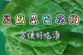 好像热门木耳菜的豆腐菜?阳台种植的马上到厨房做好吃绿叶蛋花汤