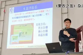 葡萄果穗想拉好，三个注意少不了