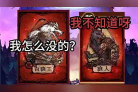[狼人杀]狼人夜晚随便一刀，没想到第二天白狼王没了视频封面