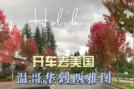 美国公布最新入境条例，加拿大人还会大排长龙，去旅游和购物吗？视频封面