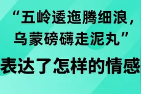 “五岭逶迤腾细浪，乌蒙磅礴走泥丸”表达了诗人怎样的情感？