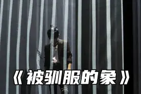 第109集｜回忆录：易烊千玺2019玊尔演唱会，《被驯服的象》