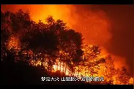 七个梦境居然是发财梦，你做过吗？视频封面