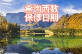 如何查询西部数据硬盘的保修期，用以判断硬盘的真假标签。