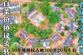 海南农场三房三进院，50年使用权，占地300平，过冬养老的好地方视频封面