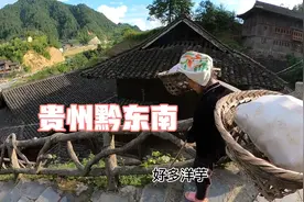 贵州黔东南娶苗族姑娘彩礼要二十万，青辣椒一斤七十，你敢相信吗视频封面