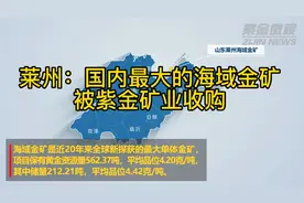 莱州：国内最大的海域金矿被紫金矿业收购视频封面