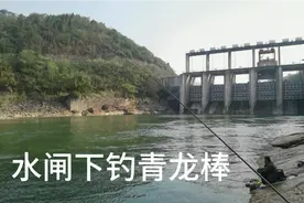 重庆贵州交界处水闸下据说多的时候几百人一天上千斤鱼视频封面