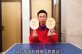 乒乓球教学：蝴蝶泰克西姆和维斯卡尼亚对比深度评测！