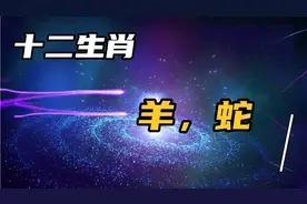 十二生肖蛇和羊。凡事都要适量“桃花运”也一样。不然适得其反