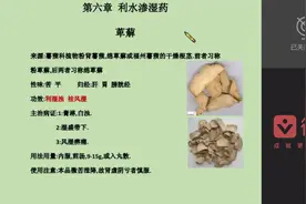 执业中药师专业知识二——萆薢