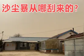 沙尘暴从哪刮来的？东北山沟里黄沙漫天，二条一家饭桌上讨论着视频封面