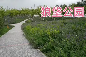 北京狼垡公园，这个公园不小，环境不错，人少特别清静