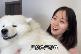 有人高价收狗，一斤200元，我家狗竟然值9200？视频封面