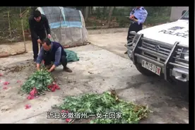 草莓喂鸡，网友纷纷表示愿意当鸡。视频封面