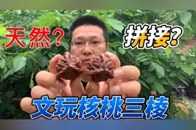 文玩核桃三棱如何区分天然与拼接？老黄教你一招！