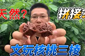 文玩核桃三棱如何区分天然与拼接？老黄教你一招！