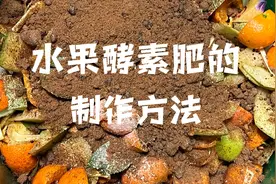 水果酵素肥的制作方法和五大作用 环保养花 有机种菜必不可少视频封面