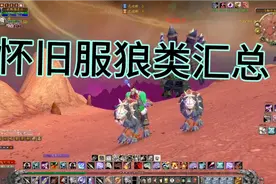 魔兽世界猎人宠物狼人汇总。你抓过哪些？视频封面
