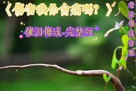 #伤感音乐，伤害我你心会疼吗，我不怕万箭穿❤，我不怕万人为敌视频封面