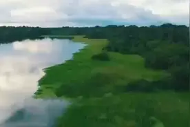亚马逊最厉害的生物，第一竟然是它，看到都不会注意视频封面