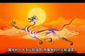 属龙和属兔的婚配如何视频封面