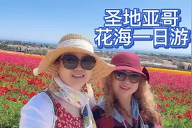 圣地亚哥花海一日游视频封面