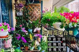 只要选对花架，小空间也可以大利用，实现你的阳台花园梦。视频封面