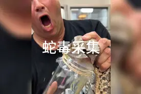 盘点那些喜欢养蛇的外国人，原来蛇的毒液喷一次有那么多的，可怕