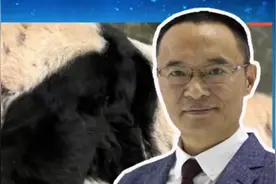 网友呼吁尽早接旅美熊猫“丫丫”回国 北京动物园：已进行准备视频封面