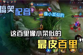 最皮卤蛋：小菜！像小菜似的视频封面