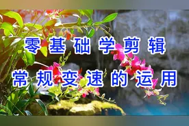 手机剪映！零基础学剪辑常规变速在作品剪辑中的运用【详细教程】视频封面