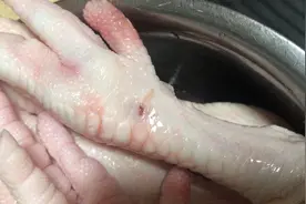 前几天菜市场买的鸡爪，鸡爪上的眼原来是宰杀时挂钩留下的视频封面