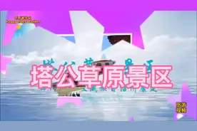 四川甘牧藏族自治州康定塔公草原能远望亚拉雪山，非常壮美……