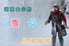 猝不及防的一场大雪，没蔬菜吃去雪地刨萝卜，小芳放肆撒欢了一回视频封面