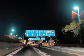 是什么样的狠人可以将一只泰迪扔出窗外被车碾压粉碎想想头皮发麻视频封面