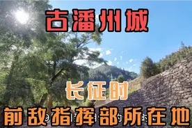 过草地后，中央红军星夜单独北上！两大主力分道扬镳，这是为啥？视频封面