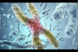 病毒生命到底从何而来视频封面